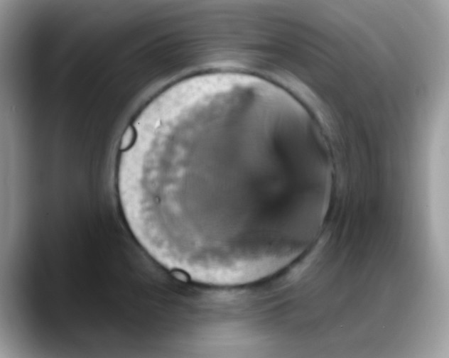 X0000088201240200705292026