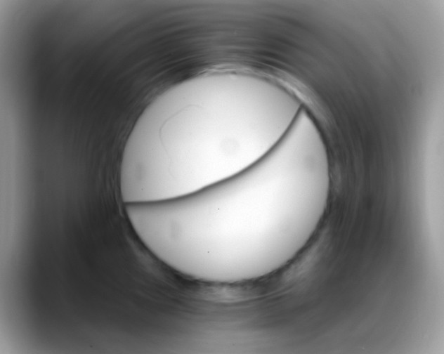 X0000088201241200705292026