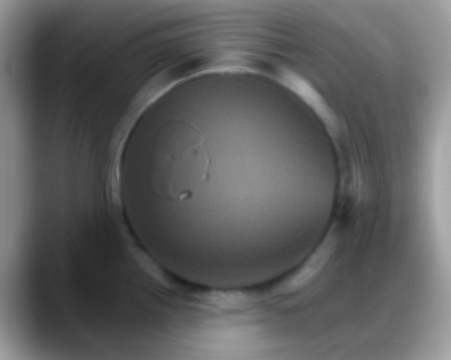 X0000088201242200705292026