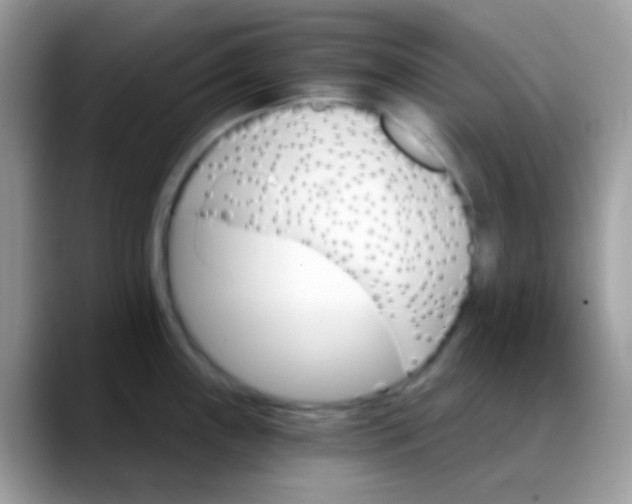 X0000088201243200705292026