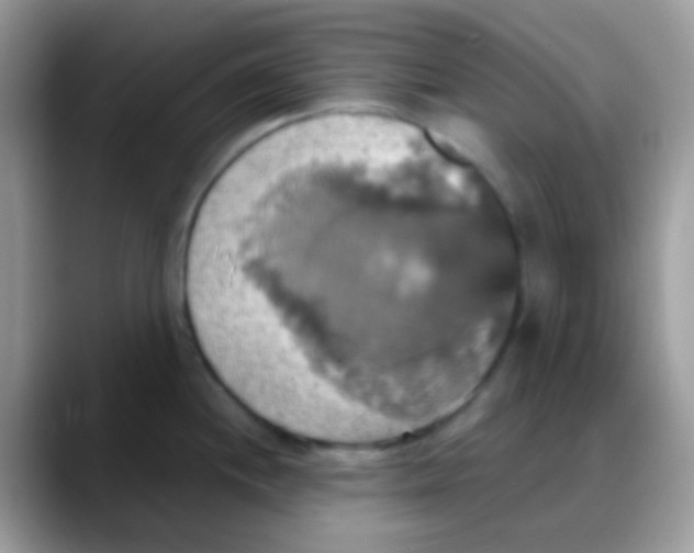 X0000088201244200705292026