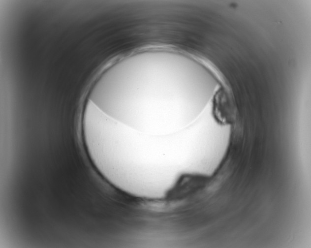 X0000088201245200705292026
