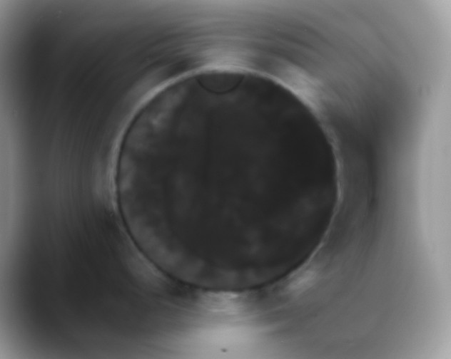 X0000088201248200705292026