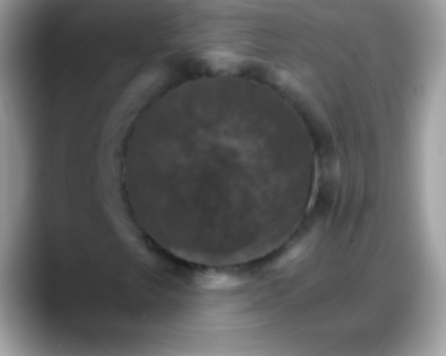 X0000088201249200705292025