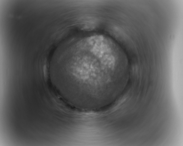 X0000088201250200705292025