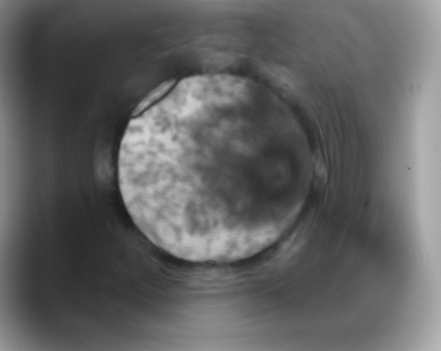 X0000088201252200705292025