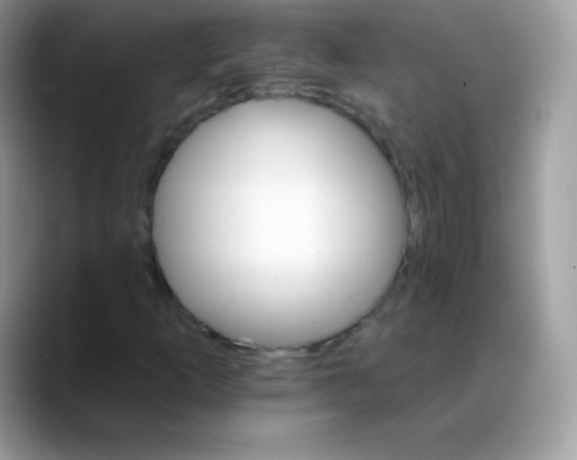 X0000088201253200705292025