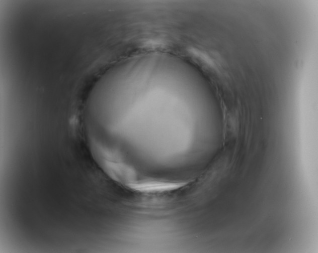 X0000088201254200705292025