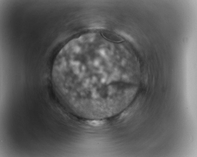 X0000088201255200705292025