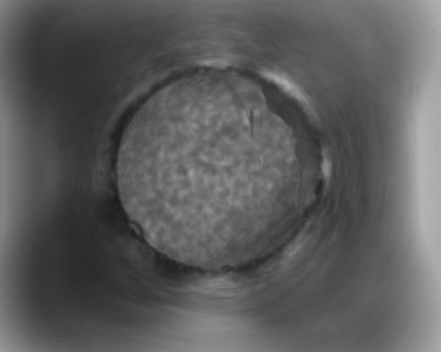 X0000088201256200705292025