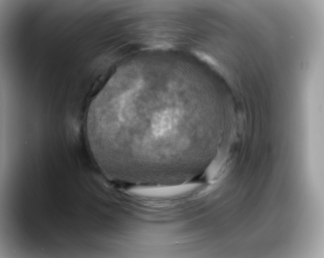 X0000088201257200705292025
