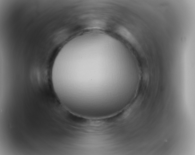 X0000088201258200705292025
