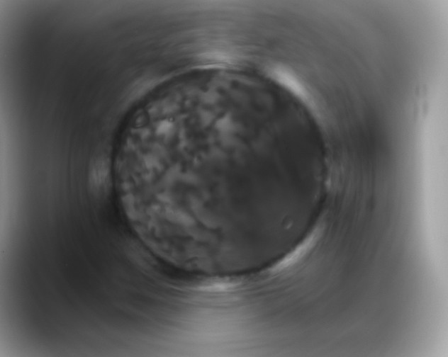 X0000088201259200705292025