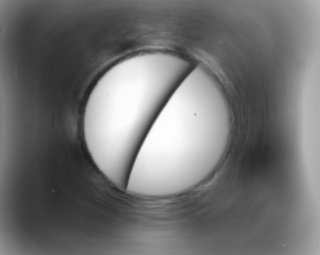 X0000088201260200705292025
