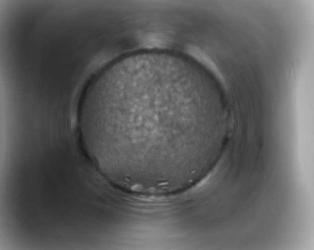 X0000088201261200705292025