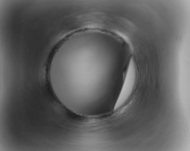 X0000088201263200705292025