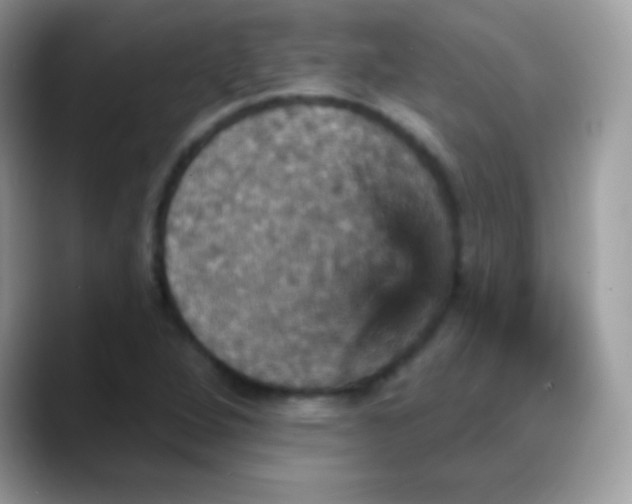X0000088201264200705292025