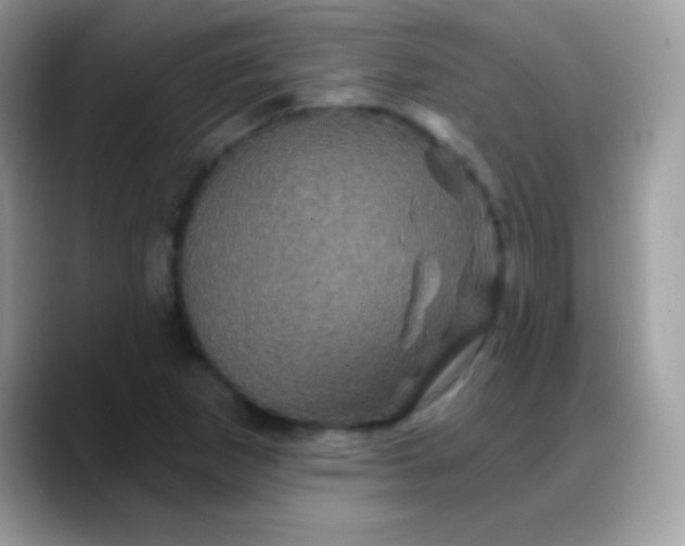 X0000088201265200705292025