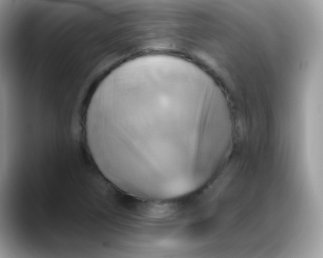 X0000088201266200705292025