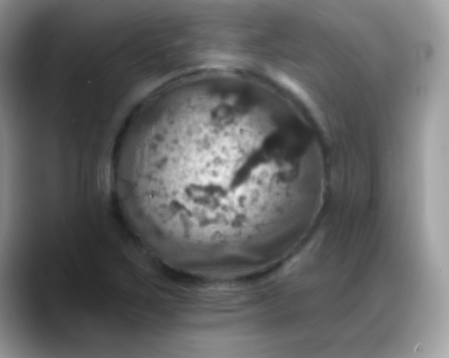 X0000088201267200705292025