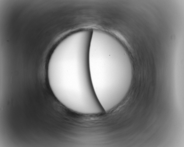 X0000088201270200705292025