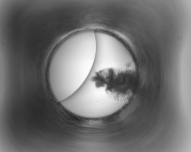 X0000088201271200705292025