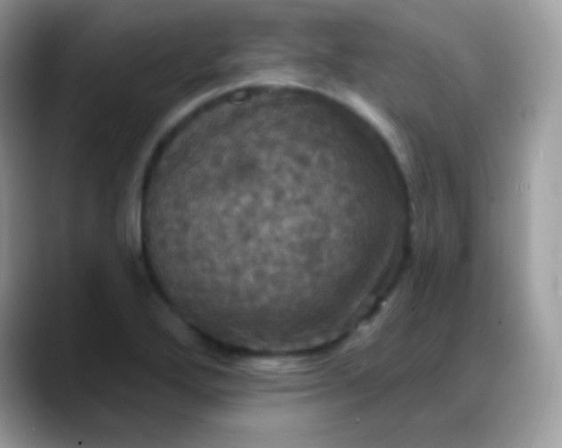 X0000088201272200705292025