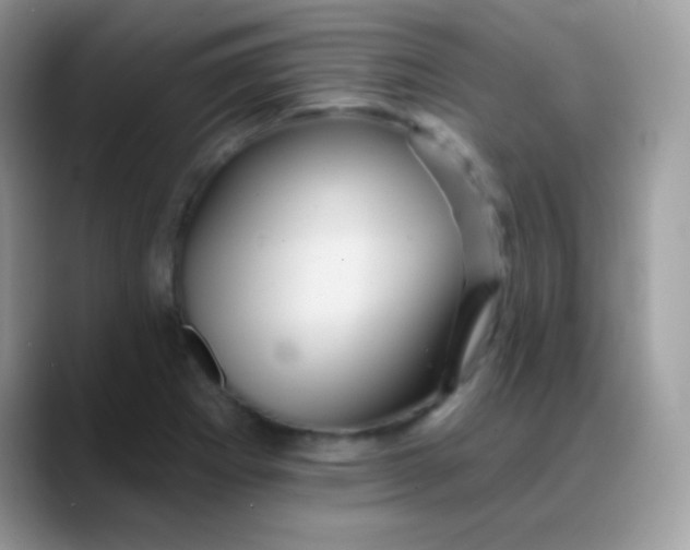 X0000088201273200705292025