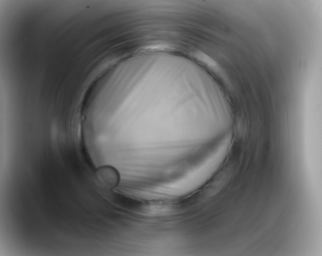 X0000088201274200705292025