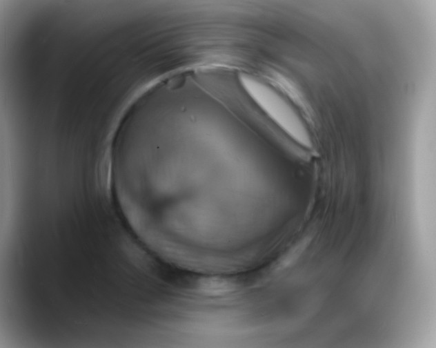 X0000088201275200705292025