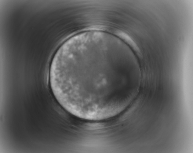 X0000088201276200705292025