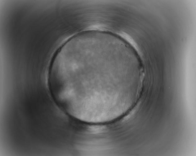 X0000088201277200705292025