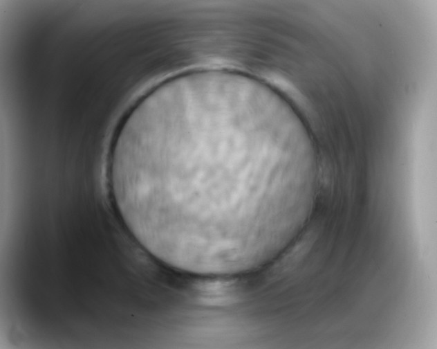 X0000088201278200705292025