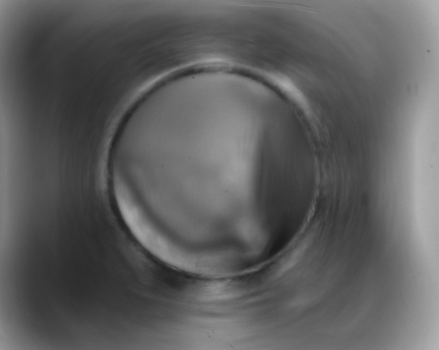 X0000088201279200705292025