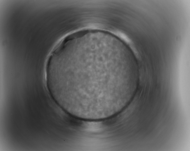 X0000088201280200705292025