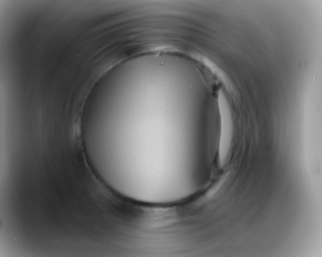 X0000088201281200705292025