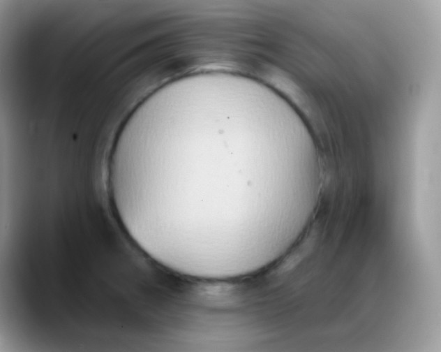 X0000088201282200705292025