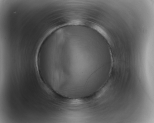 X0000088201283200705292025