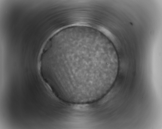 X0000088201284200705292025