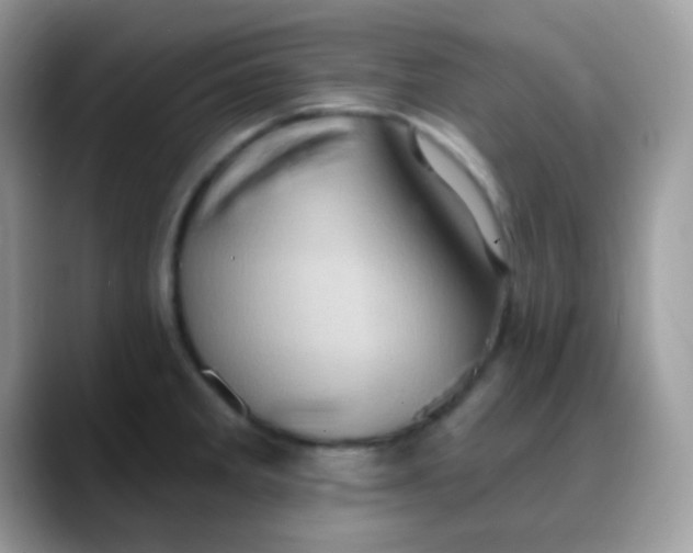 X0000088201285200705292025