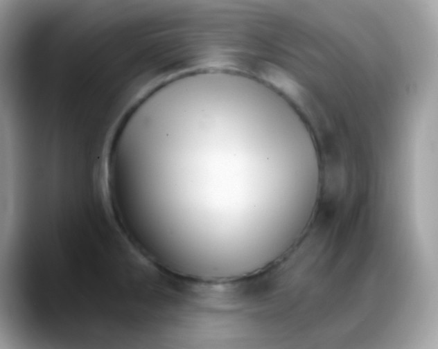 X0000088201286200705292025