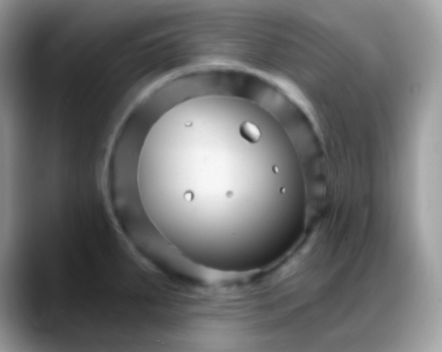 X0000088201287200705292025