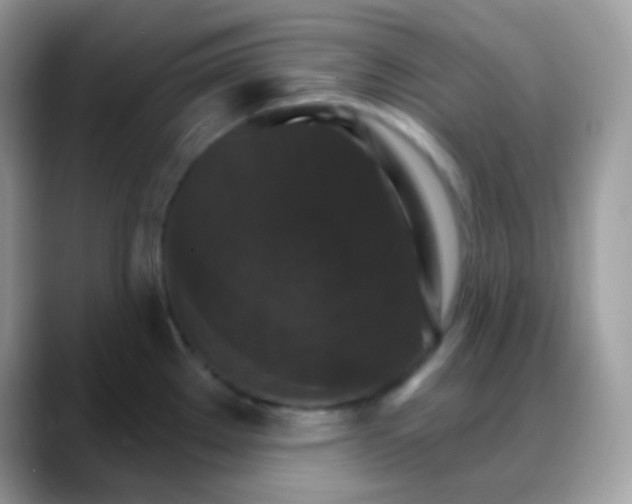 X0000088201289200705292025