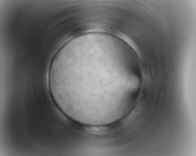 X0000088201290200705292025