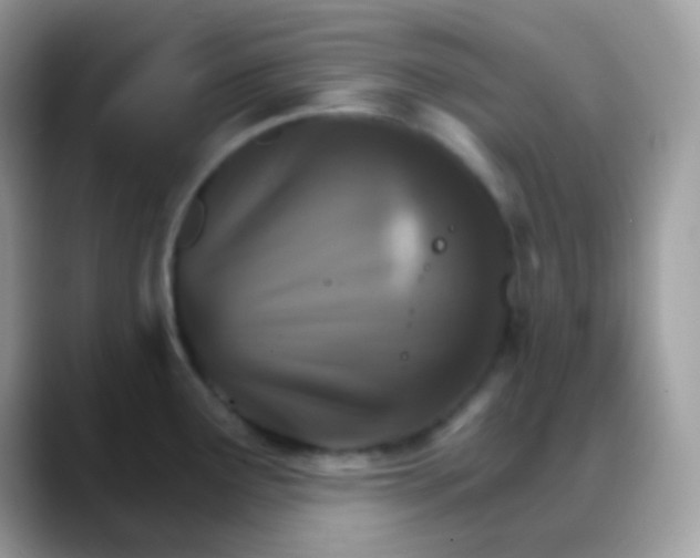 X0000088201291200705292025