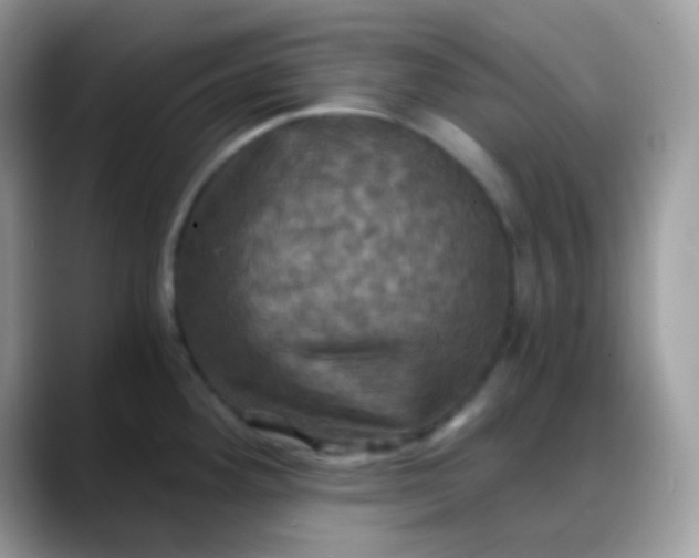 X0000088201292200705292025