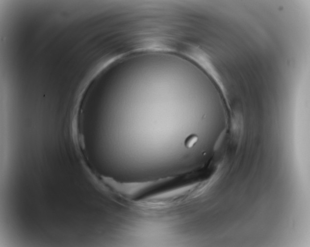 X0000088201293200705292025