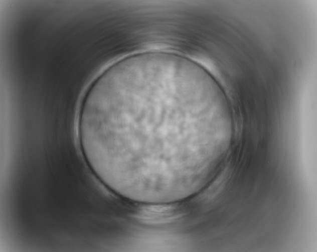 X0000088201294200705292025