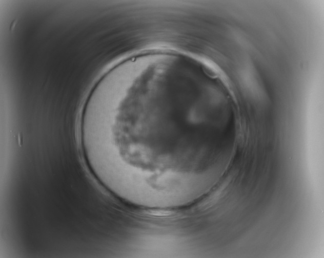 X0000088201295200705292025