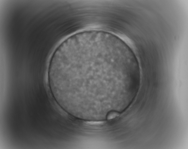 X0000088201296200705292025